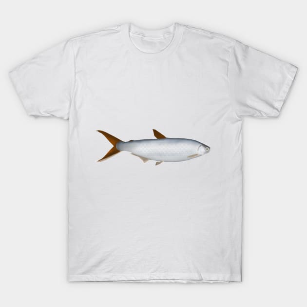 Silversides T-Shirt by FishFolkArt